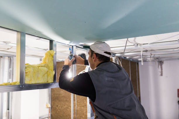 Best Insulation Installation Services in Hillsborough, NC